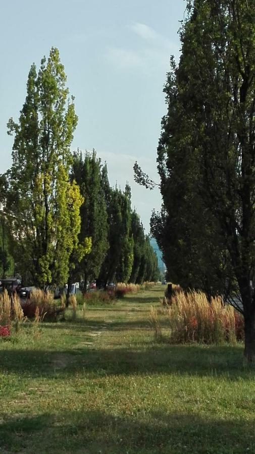 Apartament Krakowski Styl 外观 照片